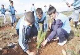 5 yılda 23 farklı türde, 2 milyon 205 bin fidan dikildi