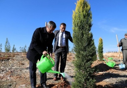 5 yılda 392 park yaptık, 290 bin ağaç diktik