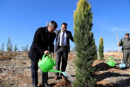 5 yılda 392 park yaptık, 290 bin ağaç diktik