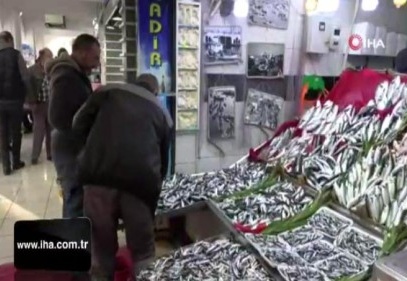 2019 yılı balıkçıların yüzünü güldürmedi