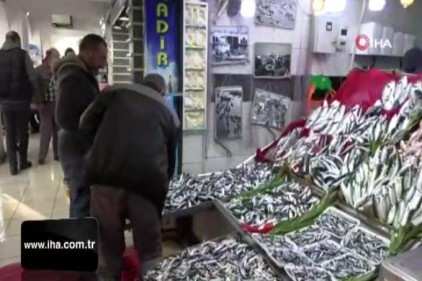 2019 yılı balıkçıların yüzünü güldürmedi