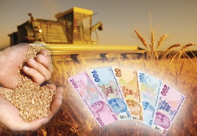 2012 yılı fark ödemesi desteklemeleri  sürüyor