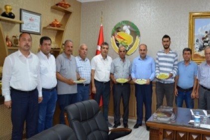 2019 yılının ilk boz Antep Fıstığı Nizip Borsası’na geldi