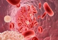 20 yıllık süre içinde her yıl 13 milyon kişi hayatını kaybedecek