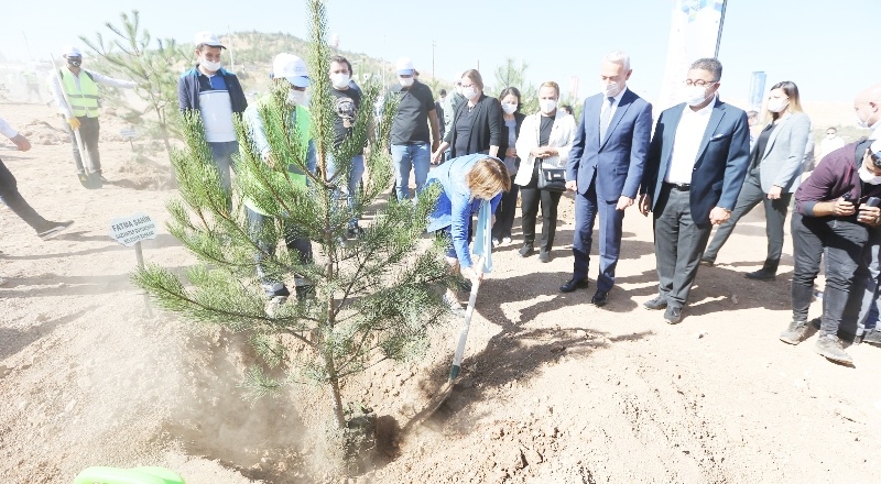 1 milyon 350 bin ağaç toprakla buluştu