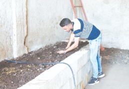 1 milyon solucanla aylık 1 ton gübre üretiyor