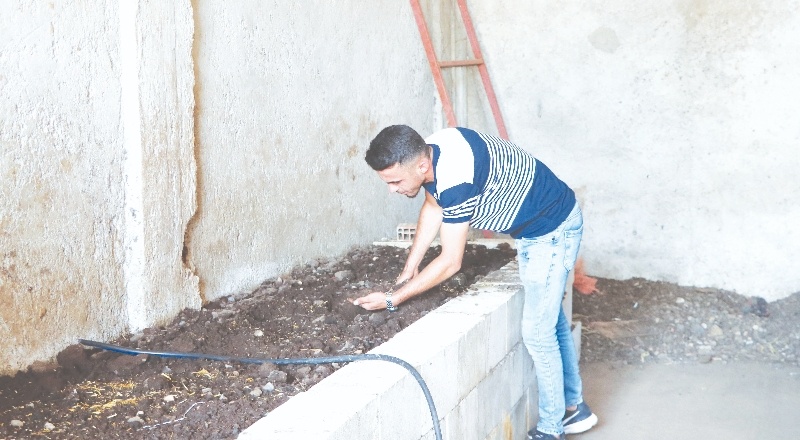 1 milyon solucanla aylık 1 ton gübre üretiyor