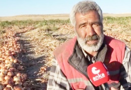 1 TL'ye ürettiği soğanı 30 kuruşa satan çiftçi isyan etti