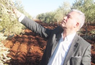 10 günlük yoğun yağış toprağı suya doyurdu