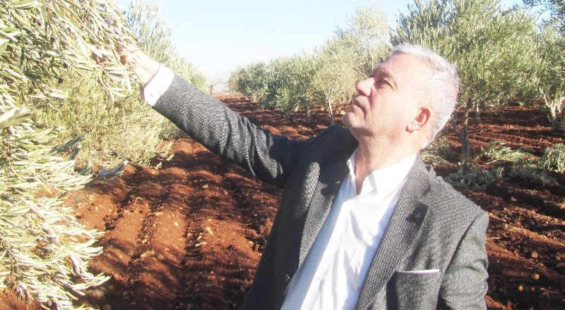 10 günlük yoğun yağış toprağı suya doyurdu