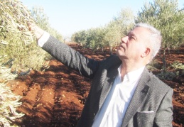 10 günlük yoğun yağış toprağı suya doyurdu