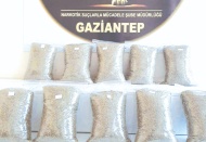 10 kilo bonzai ele geçirildi