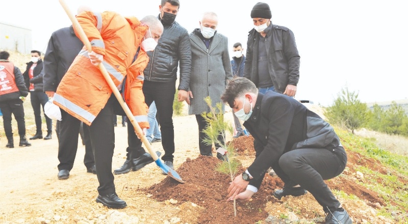 106 fidan toprakla buluştu