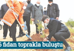 106 fidan toprakla buluştu