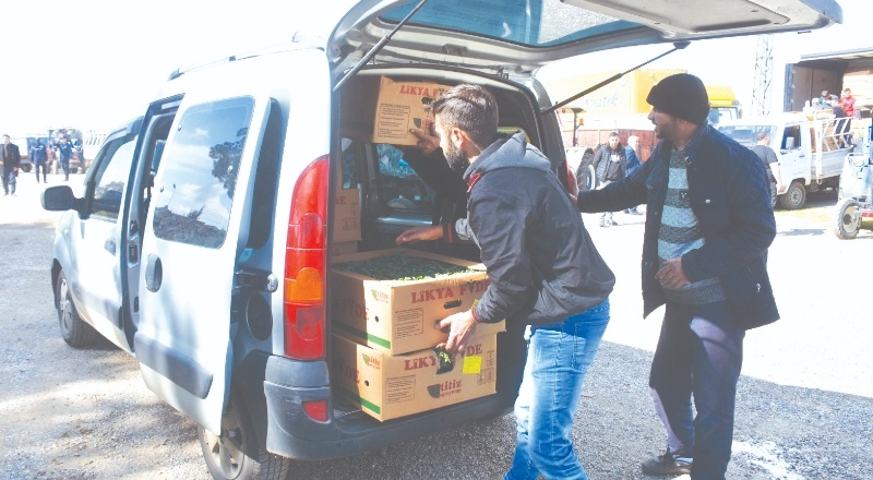 11 milyon 500 bin fidenin dağıtımına başlandı