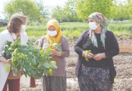 114 üreticiye 6 bin 500 nar fidanı verildi