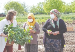 114 üreticiye 6 bin 500 nar fidanı verildi
