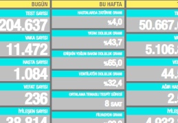 11.472 vaka, 1.084 hasta, 236 ölüm