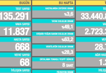 11.837 vaka, 668 hasta, 68 ölüm