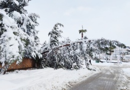 12 ahırın çatısı ve çadırlar çöktü