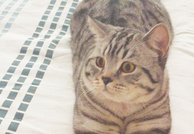 12 saatlik kurtarma operasyonu sonuçsuz kaldı