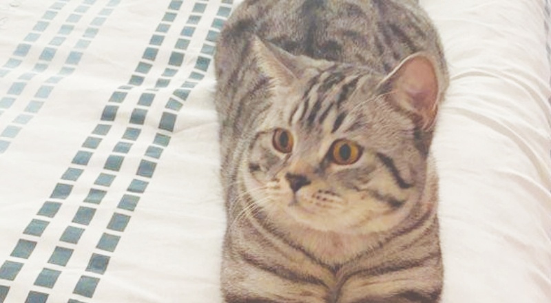 12 saatlik kurtarma operasyonu sonuçsuz kaldı