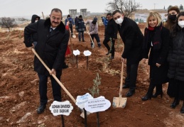 123 incir, 93 fıstık, 80 badem, 101 zeytin, 93 ceviz ve 365 sumak ağacı dikildi