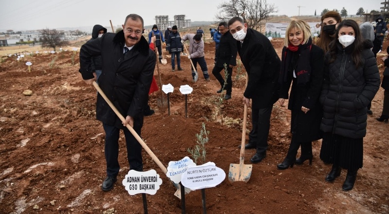 123 incir, 93 fıstık, 80 badem, 101 zeytin, 93 ceviz ve 365 sumak ağacı dikildi