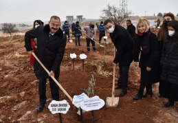 123 incir, 93 fıstık, 80 badem, 101 zeytin, 93 ceviz ve 365 sumak ağacı dikildi