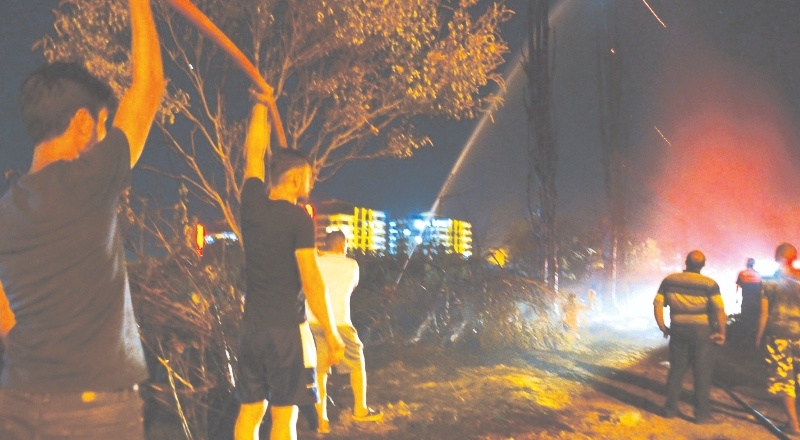 13 günde 53 ilde 270 yangın: Milas ve Köyceğiz’de devam ediyor