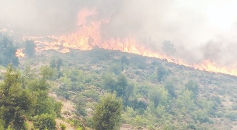 14 gün süren Köyceğiz yangını kontrol altına alındı