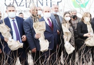 15 bin nar ve 10 bin Antep fıstığı fidanı dağıtıldı