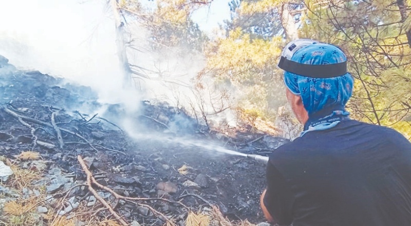 15 gün süren orman yangınlarının hepsi söndürüldü