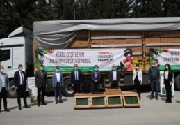 5 milyon fidenin çiftçilere dağıtımı başladı