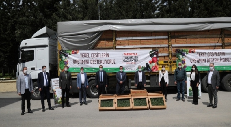5 milyon fidenin çiftçilere dağıtımı başladı