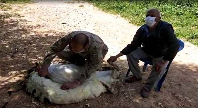 Jandarma koyun kurktı