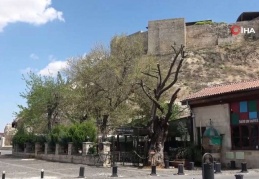 Sessiz sokaklarda kuş cıvıltıları hakim oldu