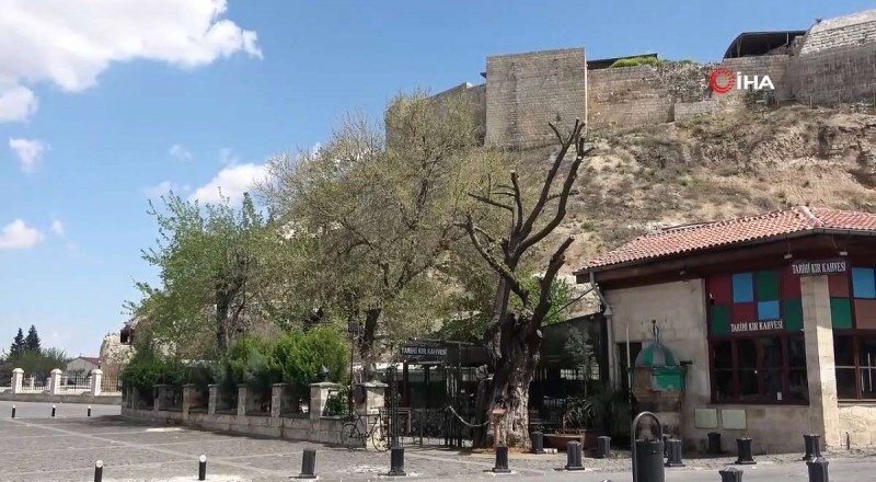 Sessiz sokaklarda kuş cıvıltıları hakim oldu