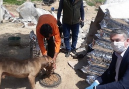 Hayvan barınaklarına mama takviyesi yapıldı