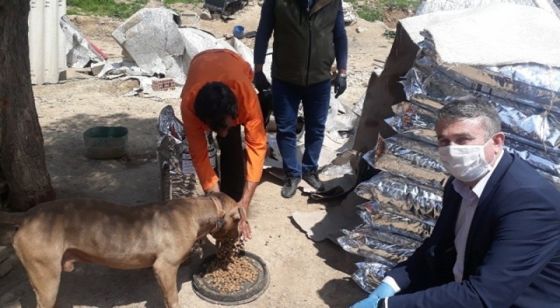 Hayvan barınaklarına mama takviyesi yapıldı
