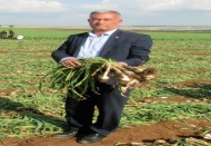 Bu işsizler nerede?