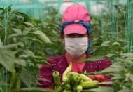 Herkes evde onlar üretimde