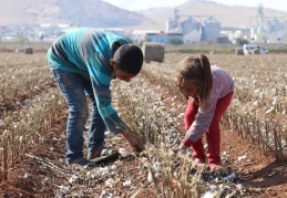 Çiftçilerin hazine destekli kredi geri ödemeleri faizsiz 6 ay ertelendi
