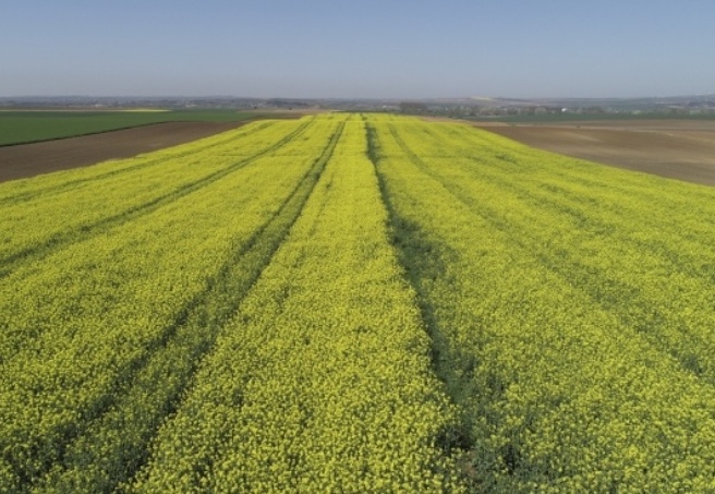 Kısa dönemli kiralamalar öne çıkacak