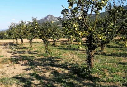 Kısa dönemli kiralamalar öne çıkacak