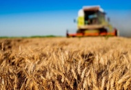 Ekilmedik 1 karış toprak kalmayacak