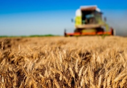 Ekilmedik 1 karış toprak kalmayacak