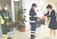 Şahinbey, 30 bin tane reyhan dağıttı