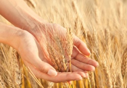 Salgın, tarımın ne kadar önemli ve vazgeçilemez bir sektör olduğunu gösterdi
