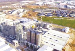 ‘İşçi sağlığı, toplumun sağlığıdır’